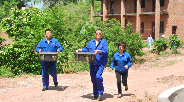 精準扶貧再送雞苗