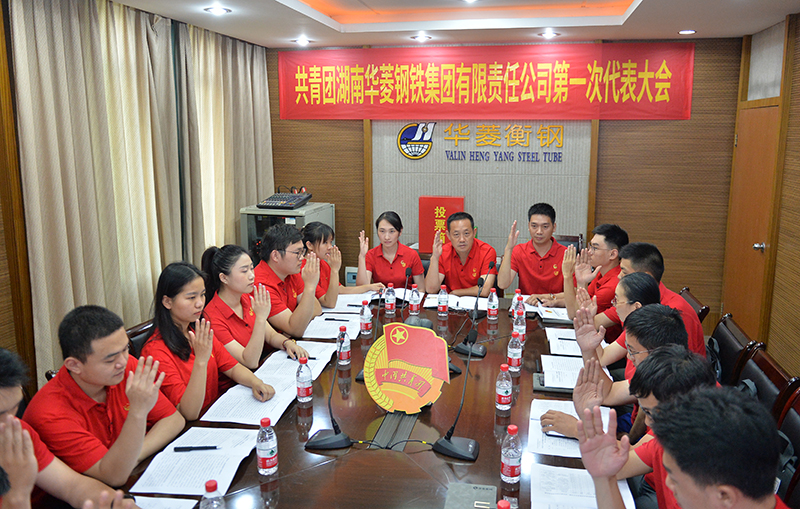 共青團(tuán)湖南華菱鋼鐵集團(tuán)有限責(zé)任公司召開(kāi)第一次代表大會(huì)